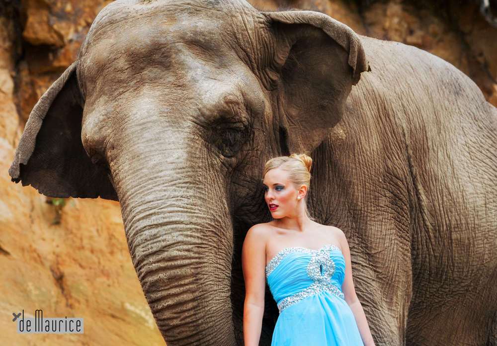 Bittner.photography (Bittner.photography)