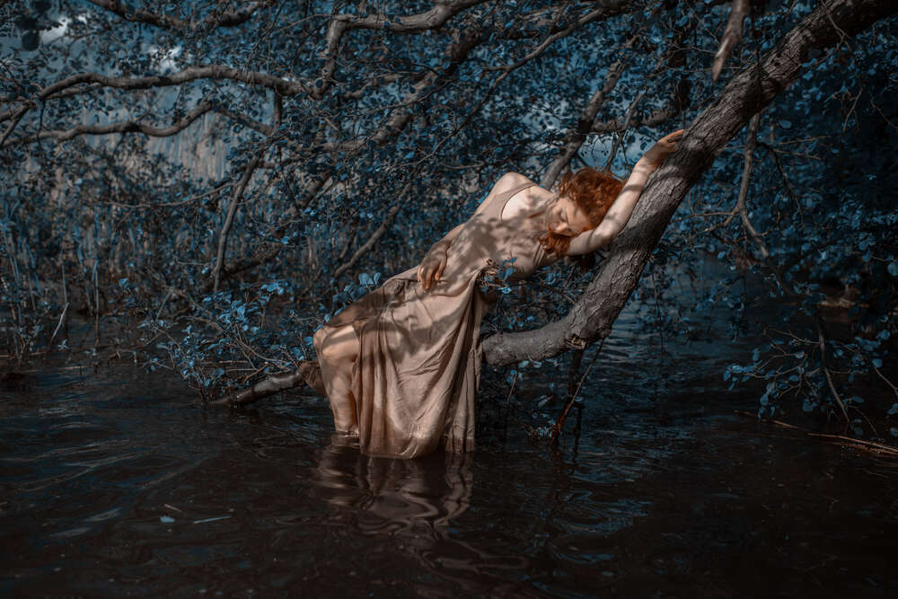 Pixoom Photographie (Pixoom Photographie)