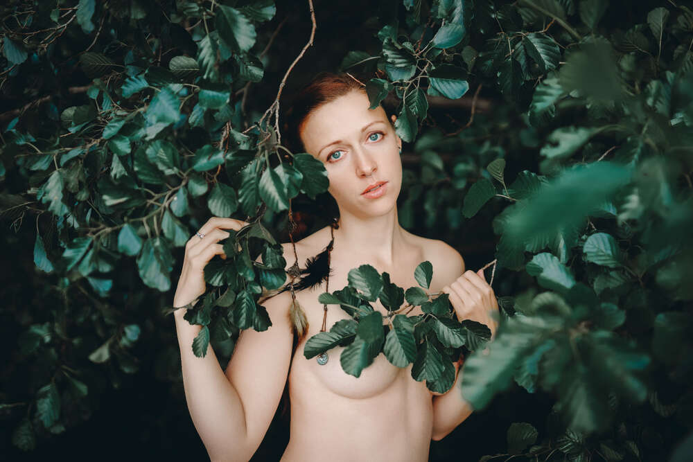 Pixoom Photographie (Pixoom Photographie)