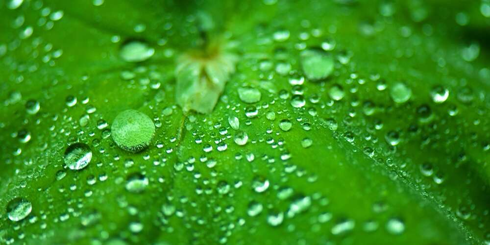 MICHAEL DIEHL PHOTOGRAPHY