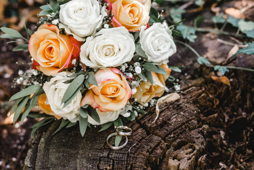 Fotostudio Schröder (Fotostudio Schröder)