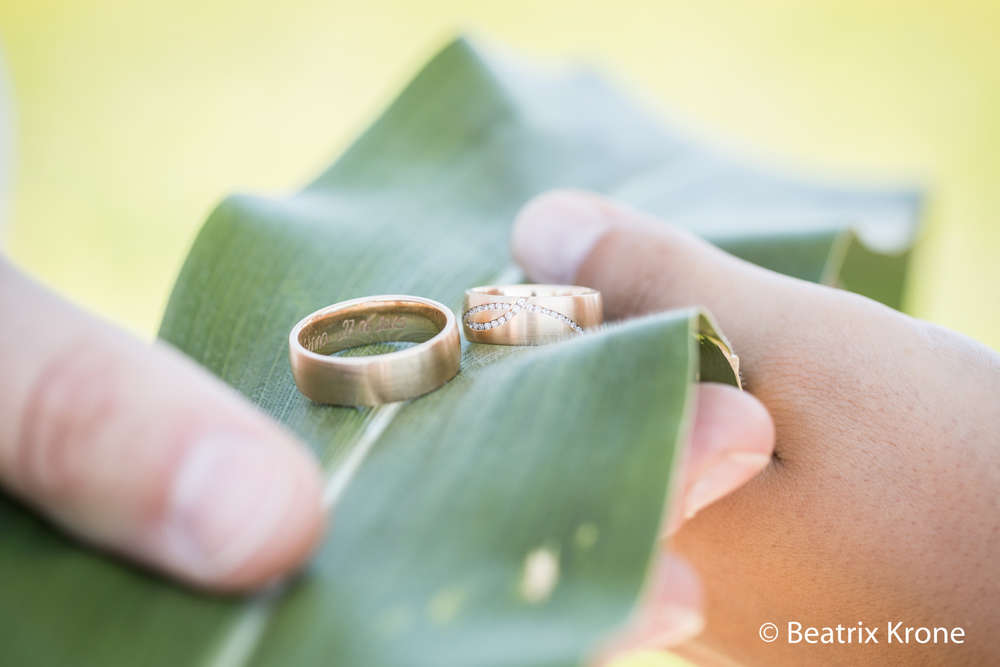 Fotostudio Beatrix Krone (Fotostudio Beatrix Krone)