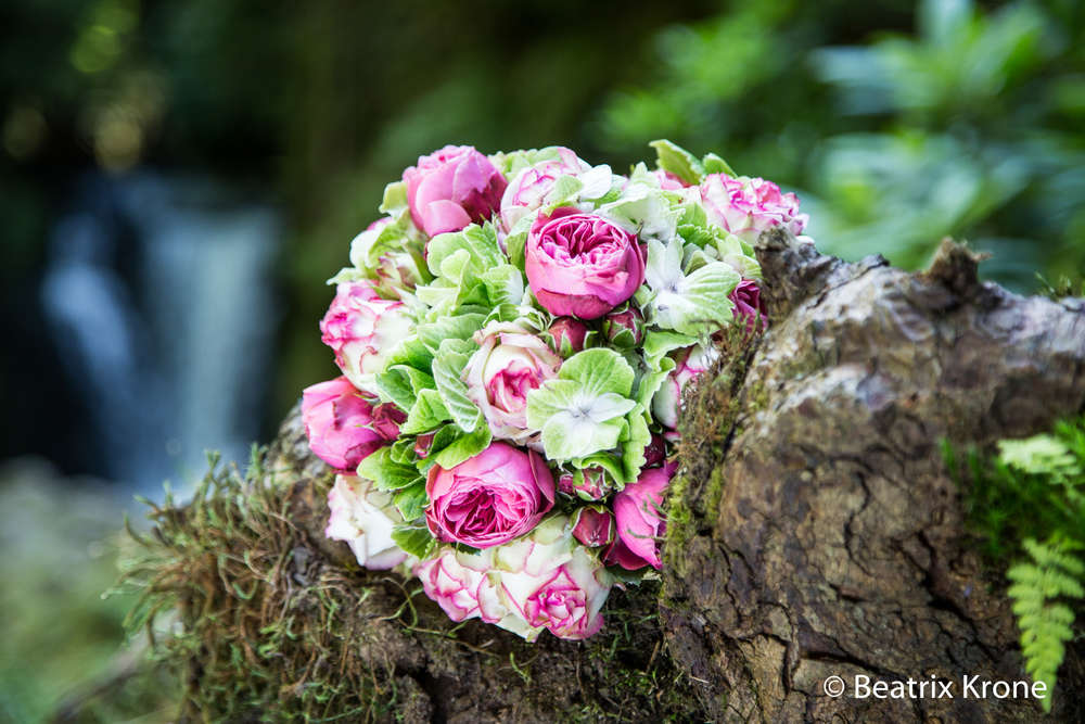 Fotostudio Beatrix Krone (Fotostudio Beatrix Krone)