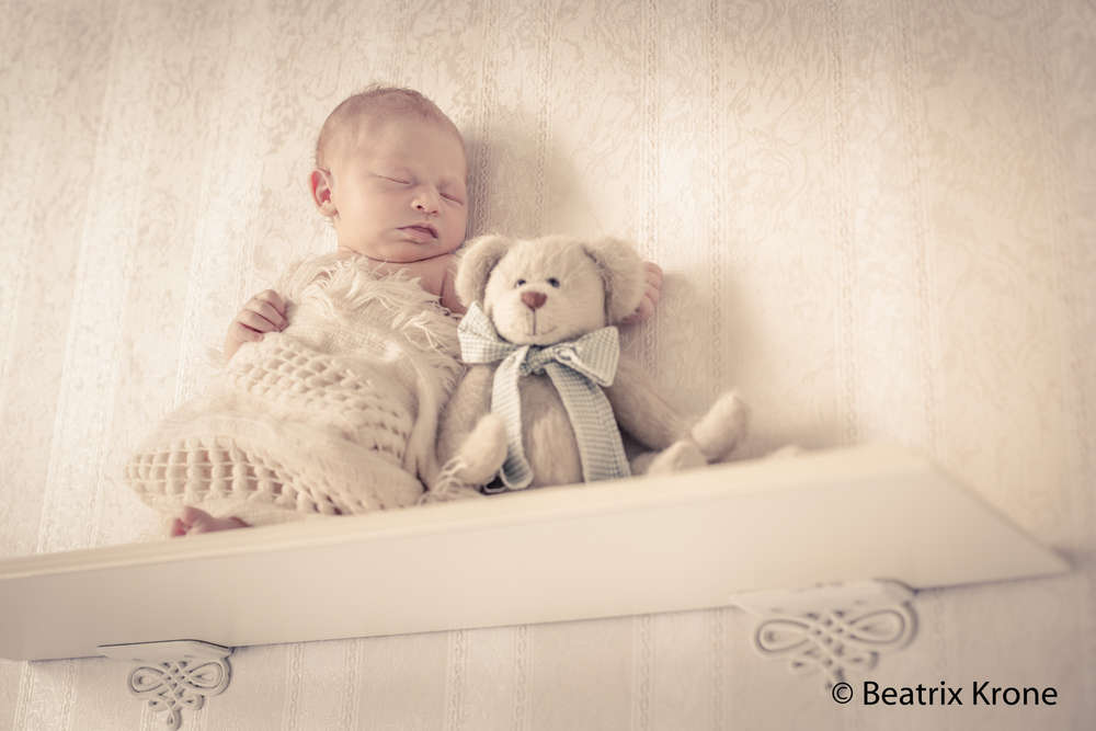 Fotostudio Beatrix Krone (Fotostudio Beatrix Krone)