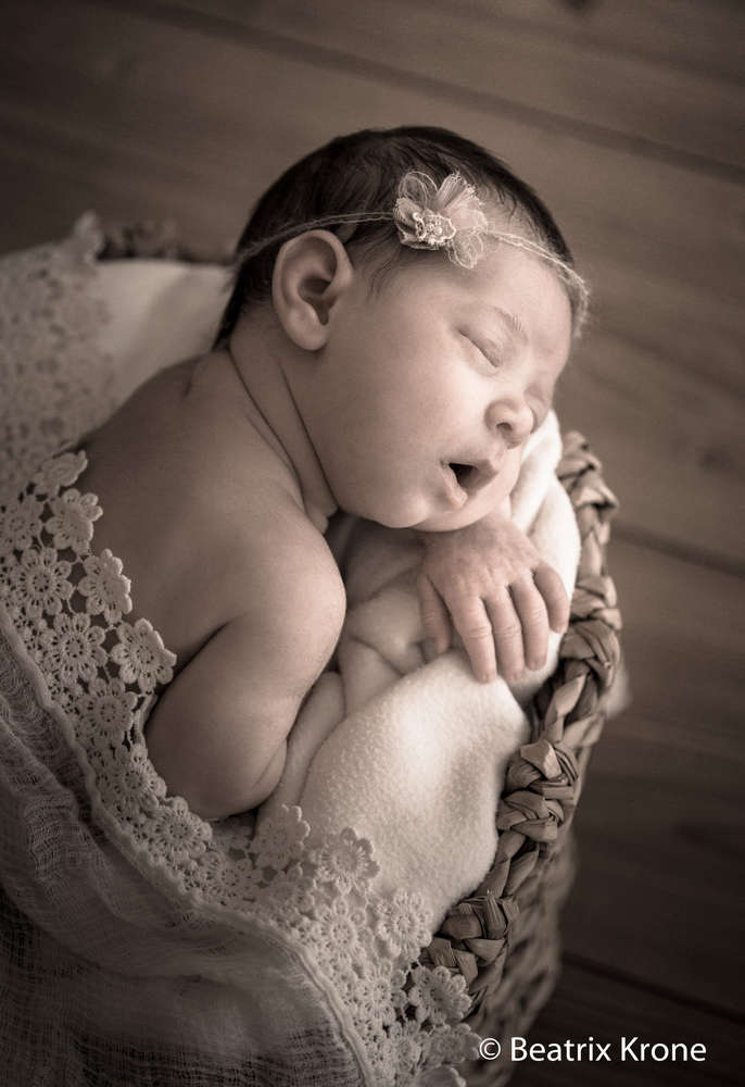 Fotostudio Beatrix Krone (Fotostudio Beatrix Krone)