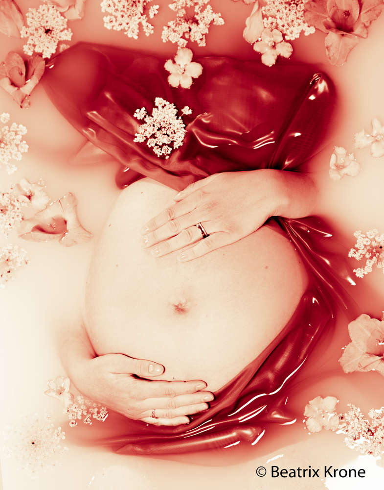 Fotostudio Beatrix Krone (Fotostudio Beatrix Krone)