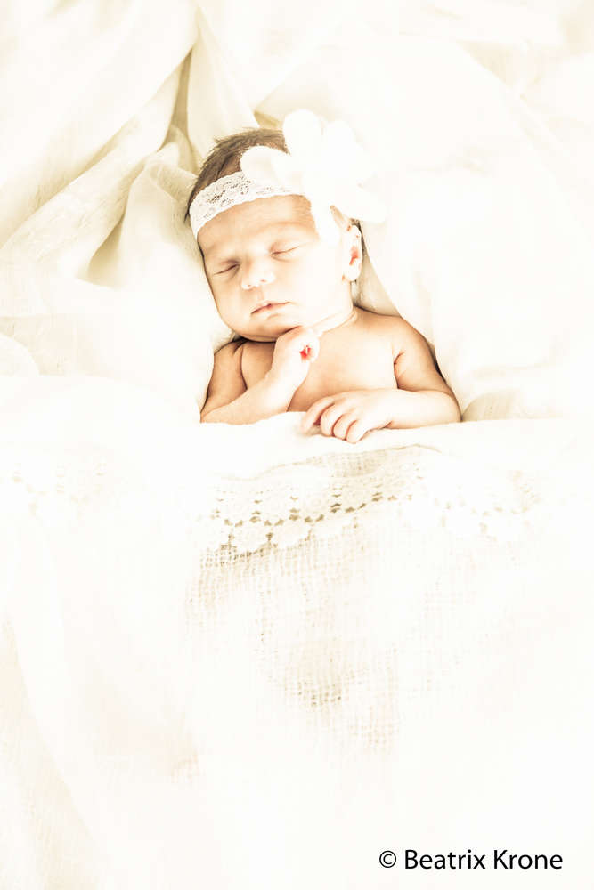 Fotostudio Beatrix Krone (Fotostudio Beatrix Krone)