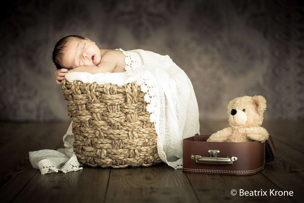 Fotostudio Beatrix Krone (Fotostudio Beatrix Krone)