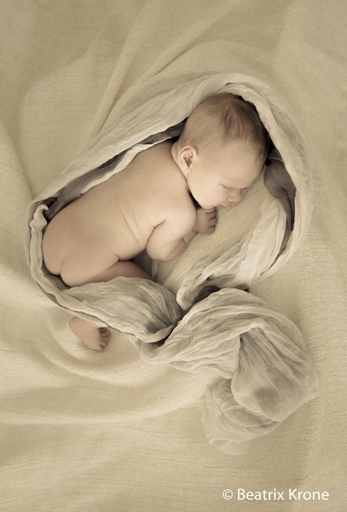 Fotostudio Beatrix Krone (Fotostudio Beatrix Krone)