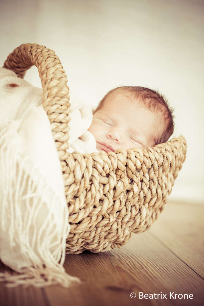 Fotostudio Beatrix Krone (Fotostudio Beatrix Krone)