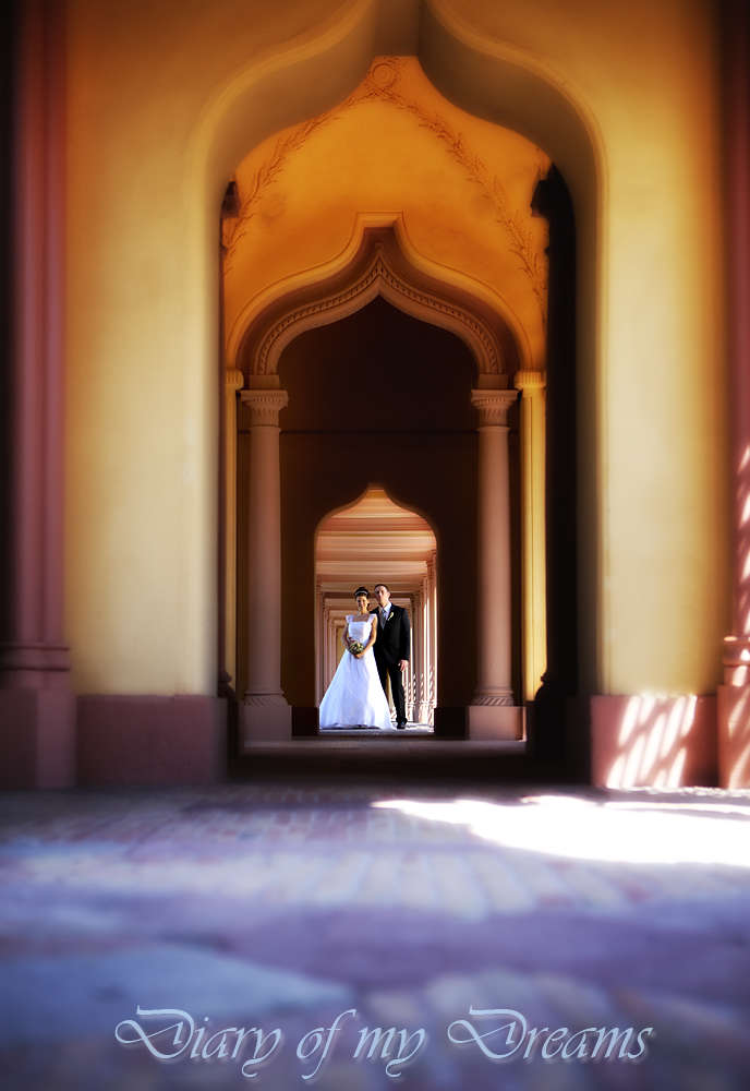 Diary of my Dreams Fotografie (Diary of my Dreams Fotografie)