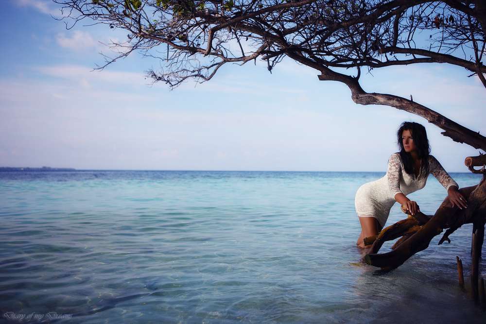 Diary of my Dreams Fotografie (Diary of my Dreams Fotografie)