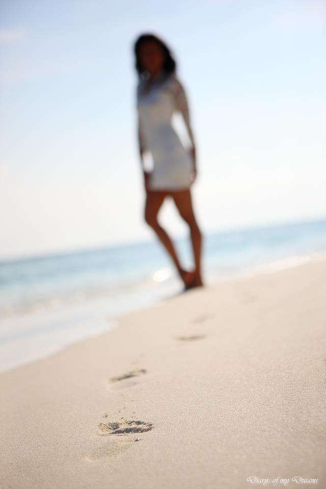 Diary of my Dreams Fotografie (Diary of my Dreams Fotografie)