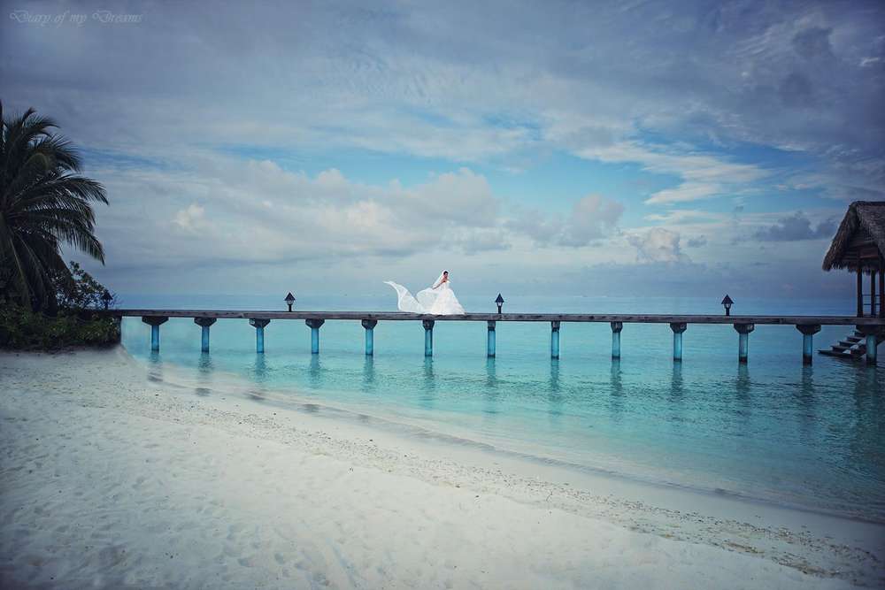 Diary of my Dreams Fotografie (Diary of my Dreams Fotografie)