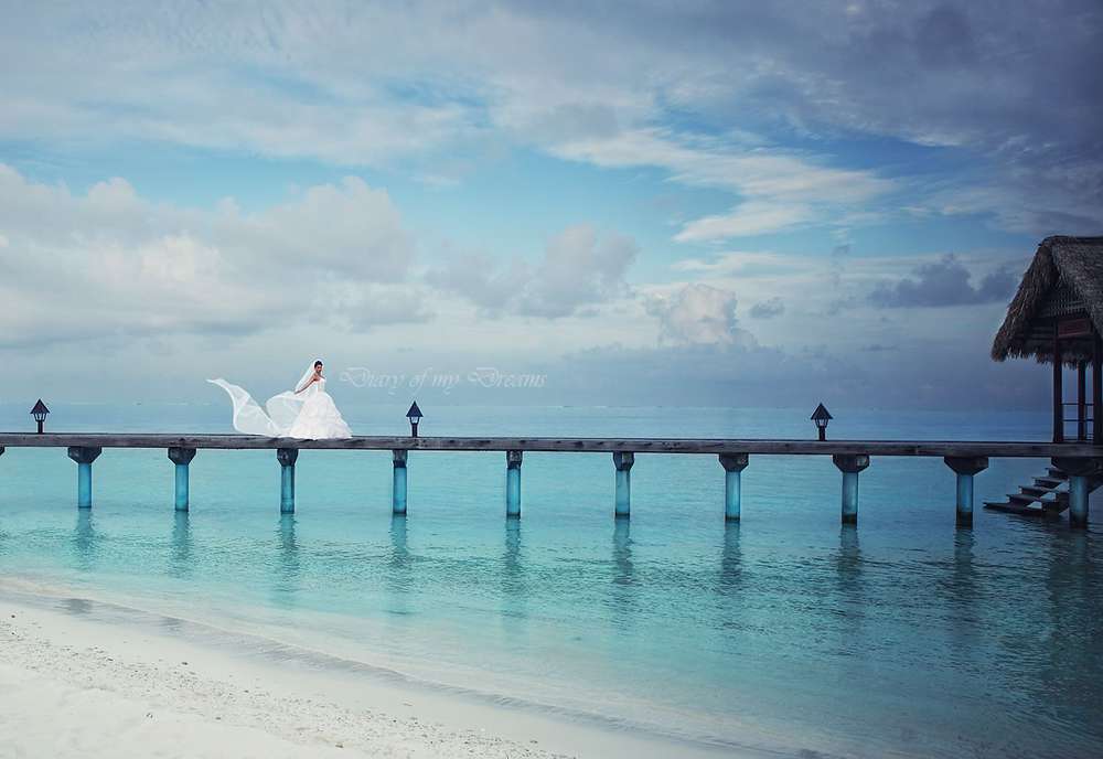 Diary of my Dreams Fotografie (Diary of my Dreams Fotografie)