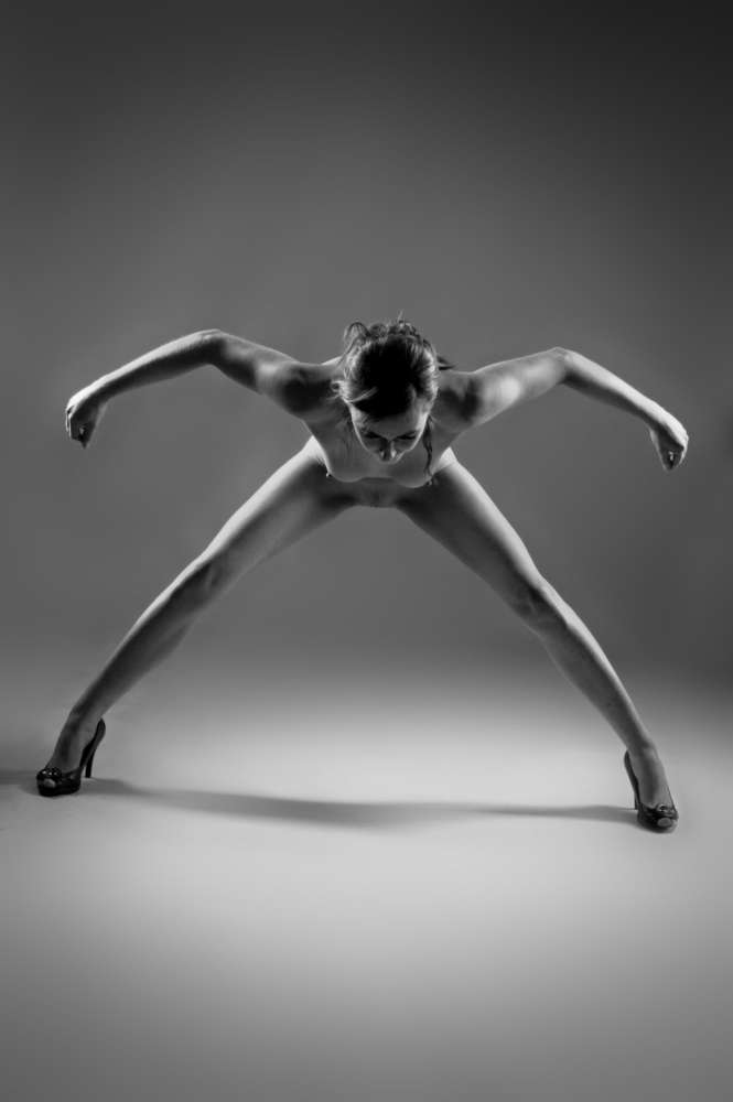 klassischer Akt (Das Atelier)