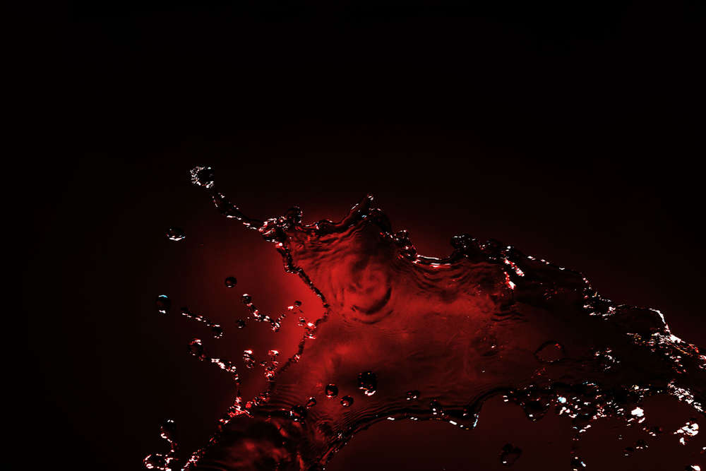 Daniel Duve Photography