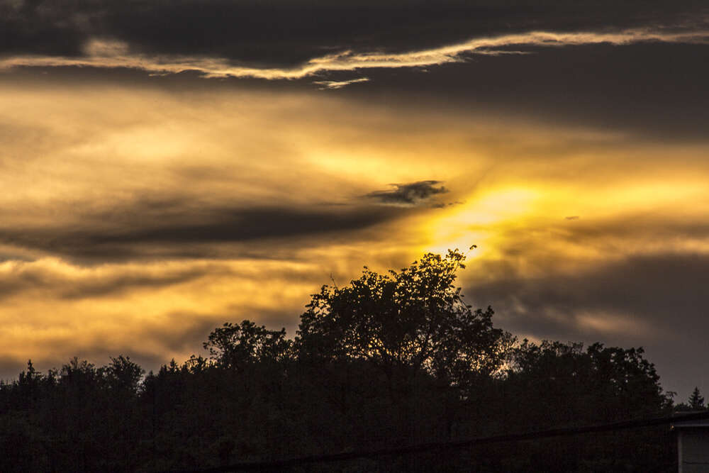 Andreas Schwarzrock Photography (Andreas Schwarzrock Photography)