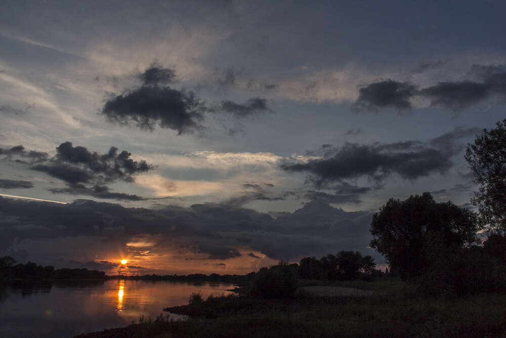 Andreas Schwarzrock Photography (Andreas Schwarzrock Photography)