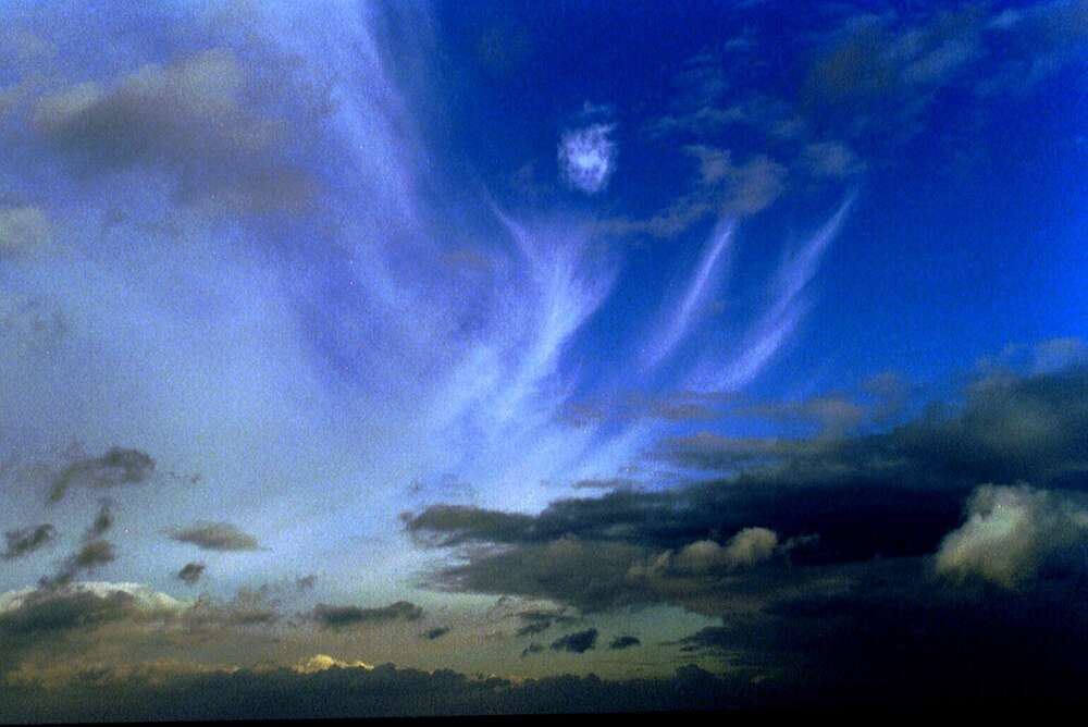 Andreas Schwarzrock Photography (Andreas Schwarzrock Photography)