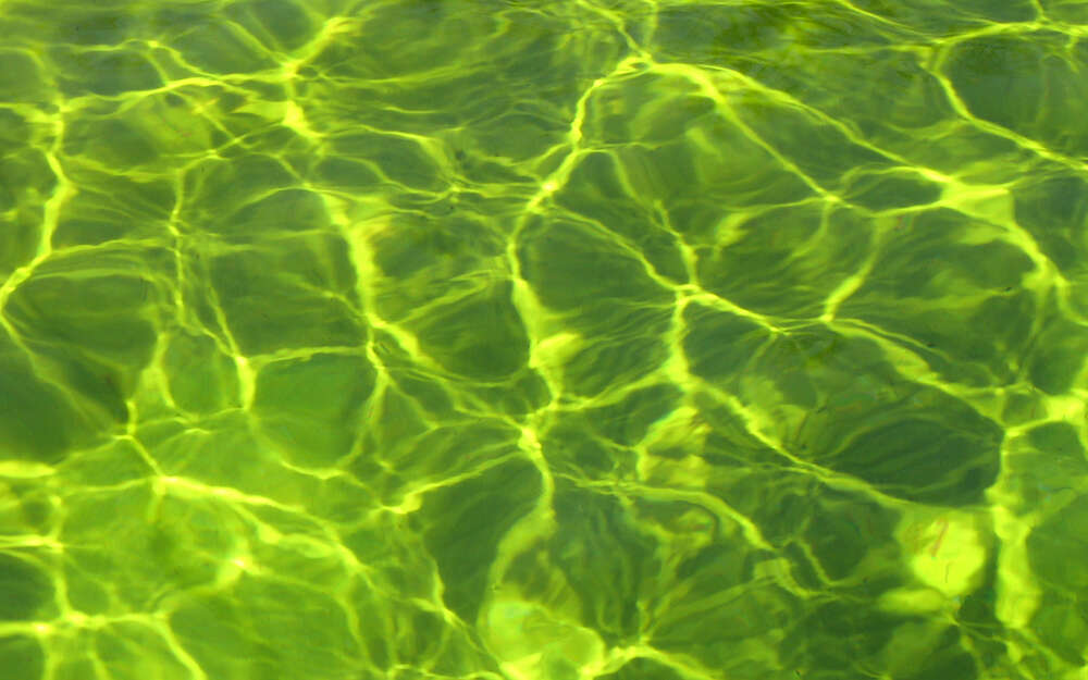 Andreas Schwarzrock Photography (Andreas Schwarzrock Photography)