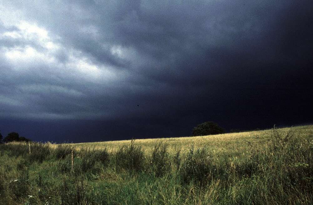 Andreas Schwarzrock Photography (Andreas Schwarzrock Photography)