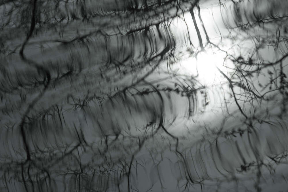 Andreas Schwarzrock Photography (Andreas Schwarzrock Photography)