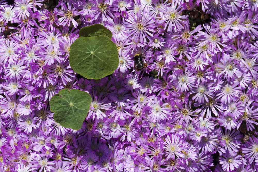 Andreas Schwarzrock Photography (Andreas Schwarzrock Photography)