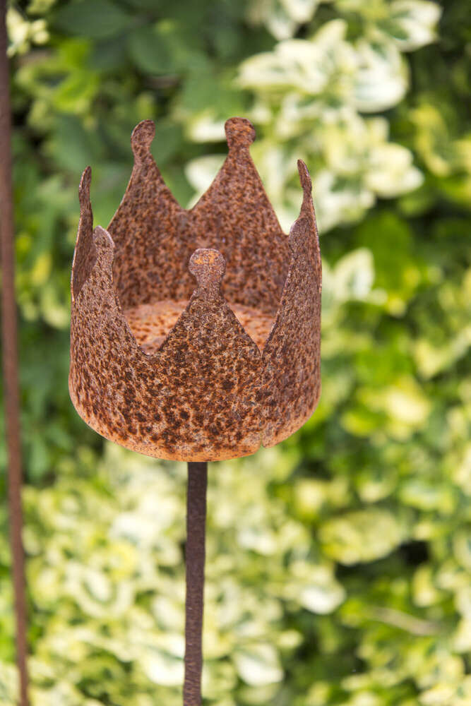 Andreas Schwarzrock Photography (Andreas Schwarzrock Photography)