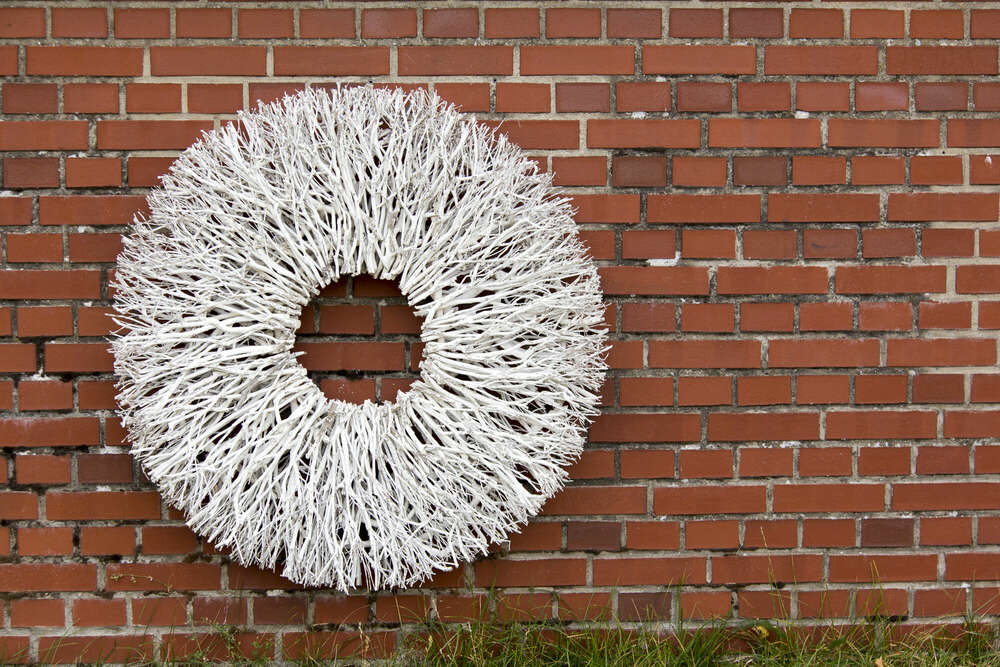 Andreas Schwarzrock Photography (Andreas Schwarzrock Photography)