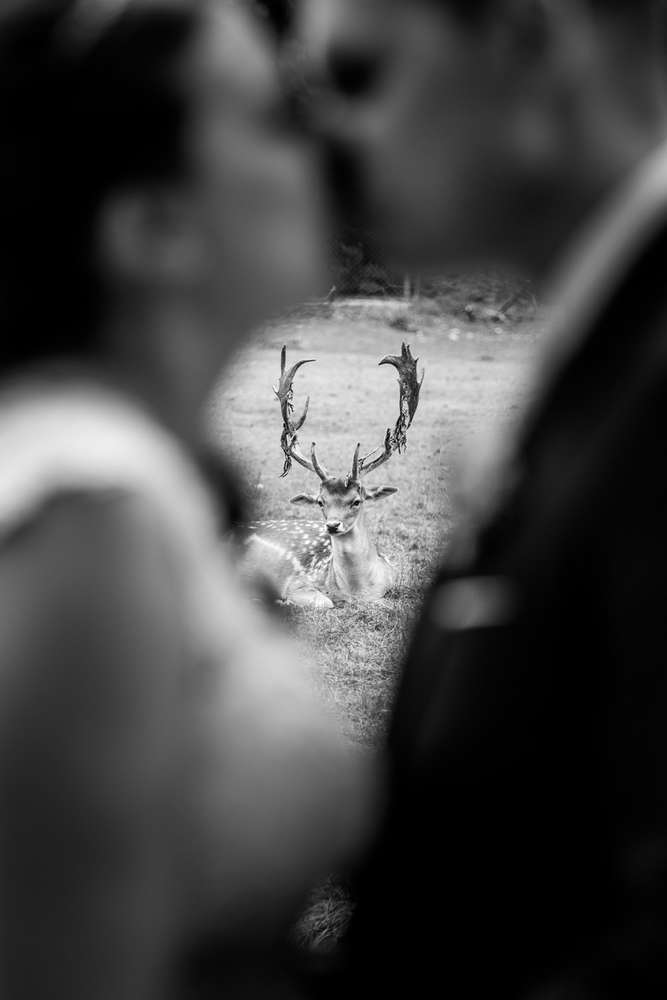 hochzeitsfotograf (LA TONA FOTOGRAFIE)