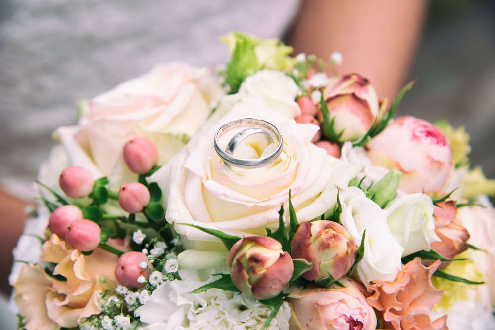 M.W. Shoots - Fotodesign Wollny (M.W. Shoots - Fotodesign Wollny)