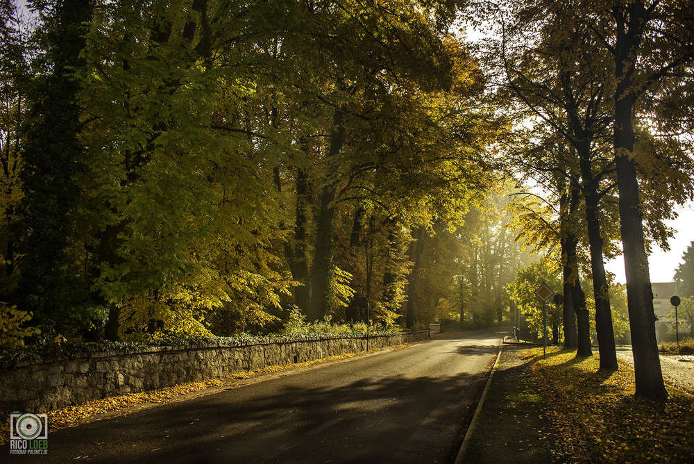 Fotograf-Pulsnitz.de