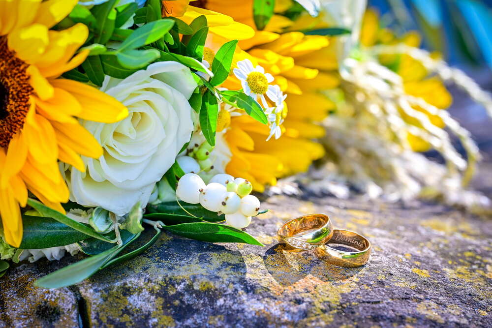 Oliver Pohl Fotografie & Studio (Oliver Pohl Fotografie & Studio)