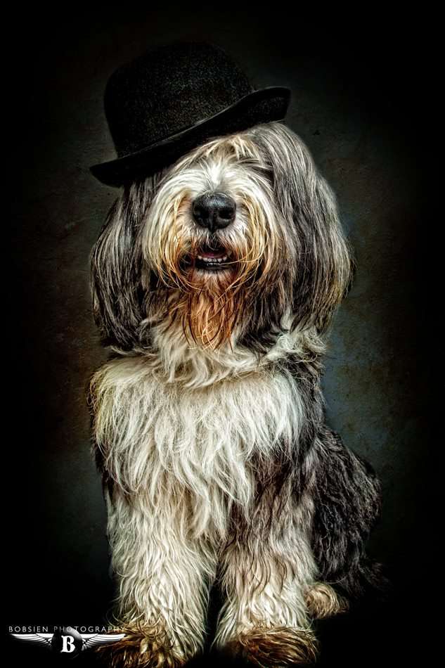 BOBSIEN-PHOTOGRAPHY (BOBSIEN-PHOTOGRAPHY)