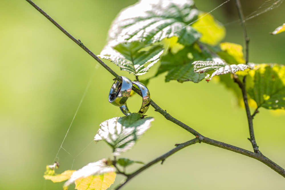 KB-Fotomomente Fotografie