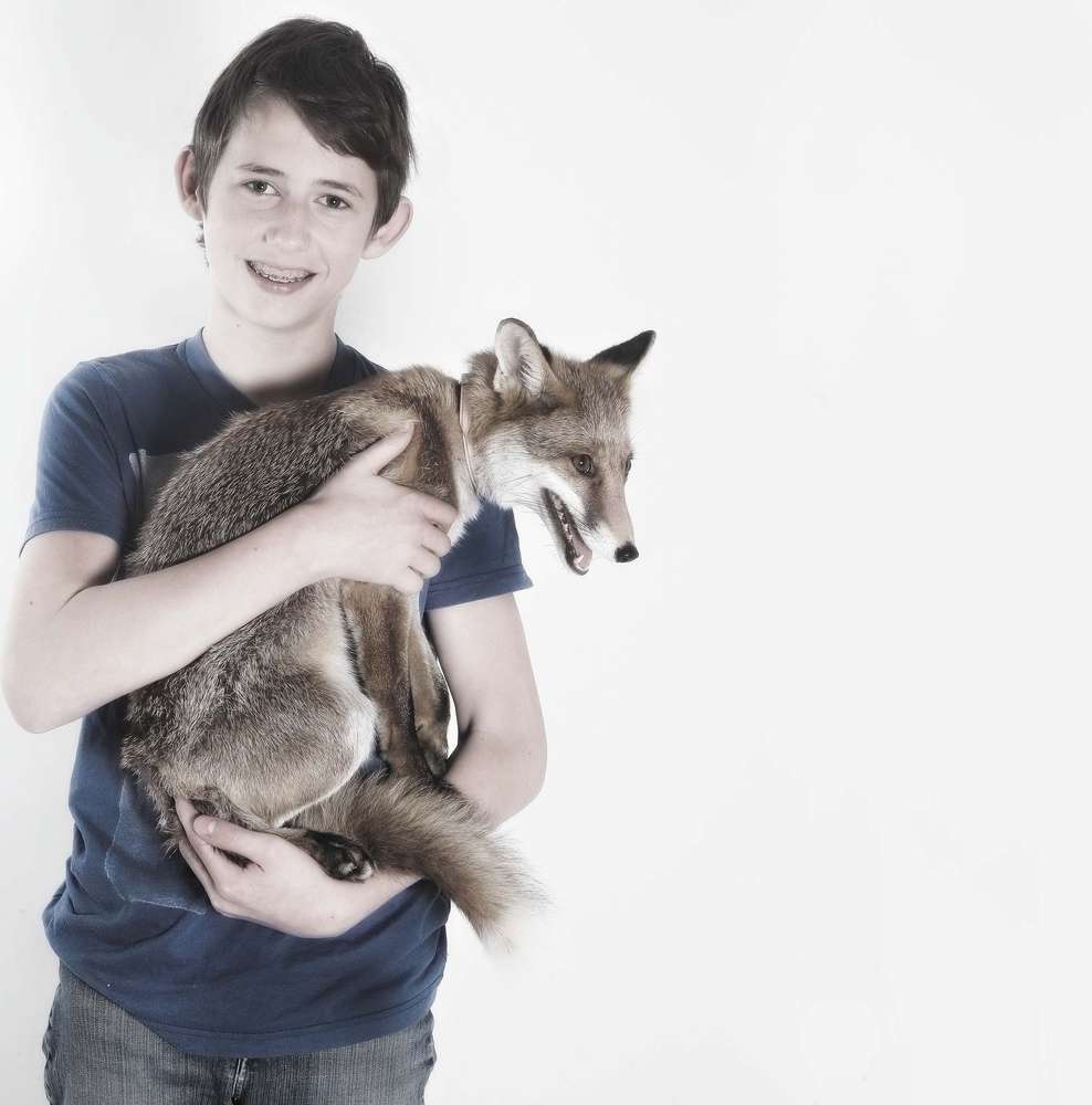 Fuchs (jenny klestil photograpphy)