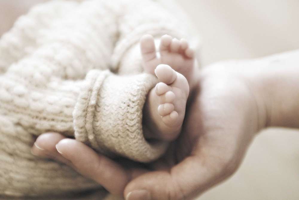 Ganz Klein (jenny klestil photograpphy)