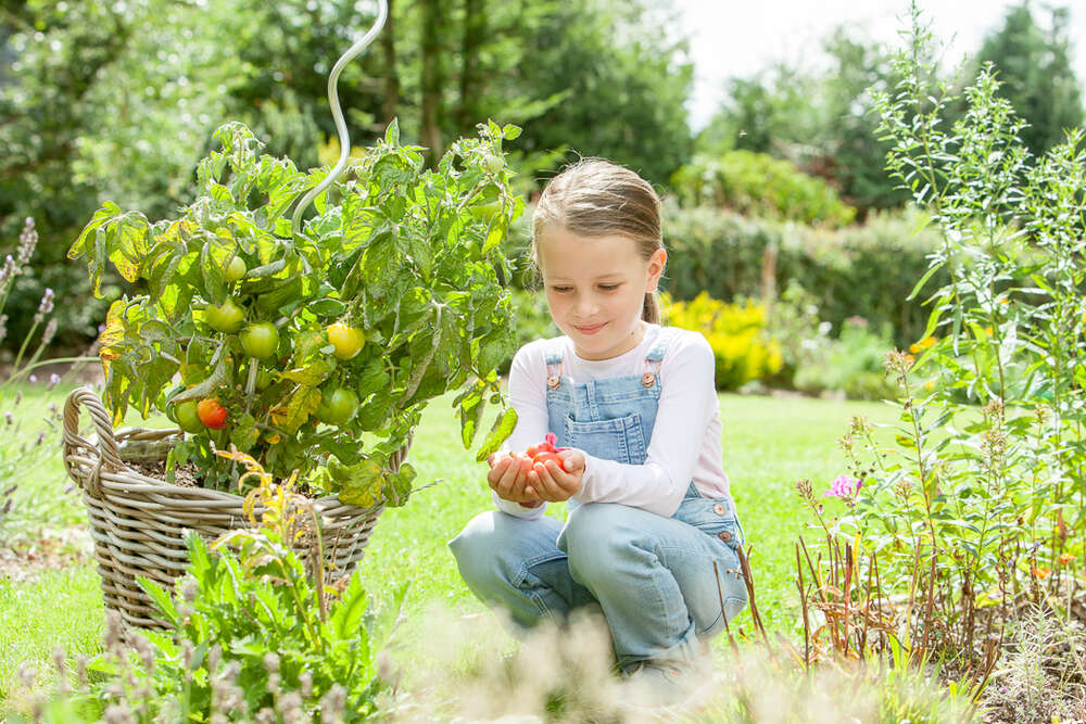 Business | Event | Lifestyle | Manfred Daams (Business | Event | Lifestyle | Manfred Daams)