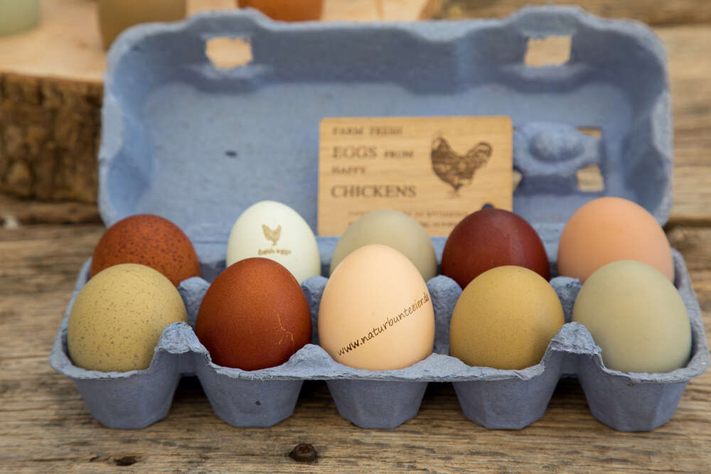 Business | Event | Lifestyle | Manfred Daams (Business | Event | Lifestyle | Manfred Daams)