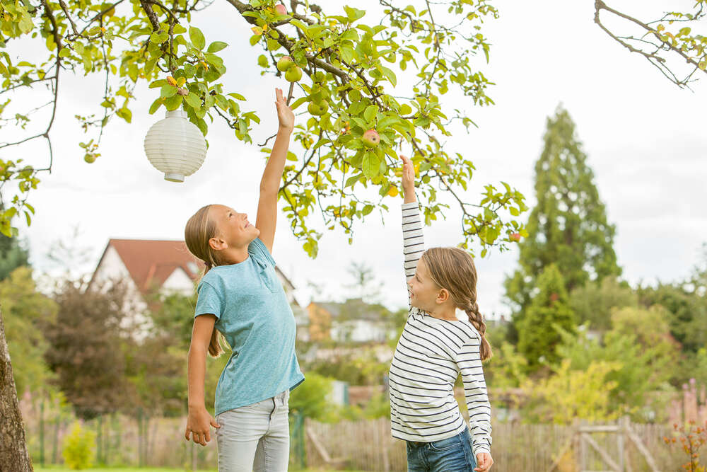 Business | Event | Lifestyle | Manfred Daams