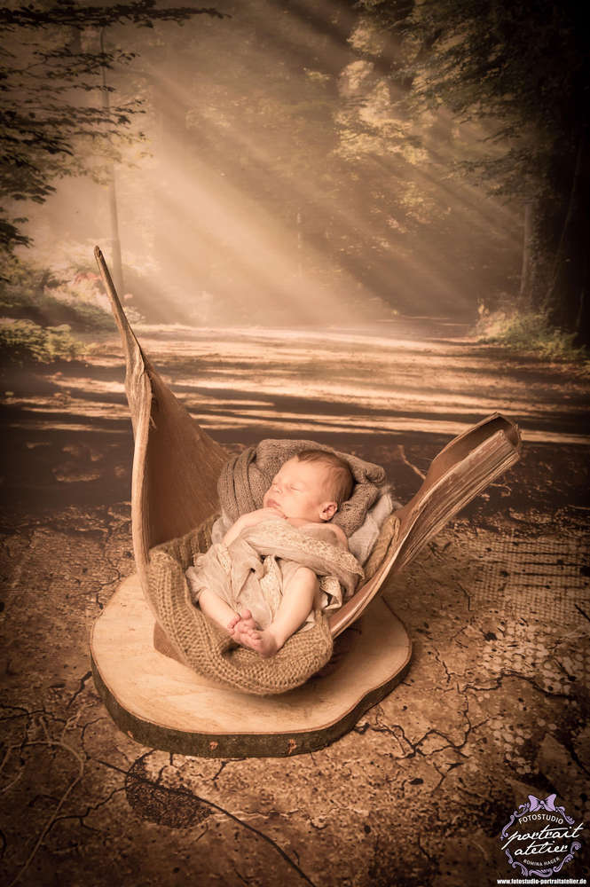 Newborn Foto (Fotostudio Portrait Atelier)