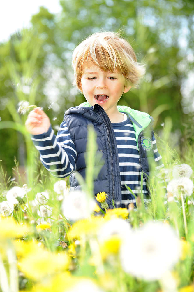 Kind im Pusteblumenfeld (EE fotografie)