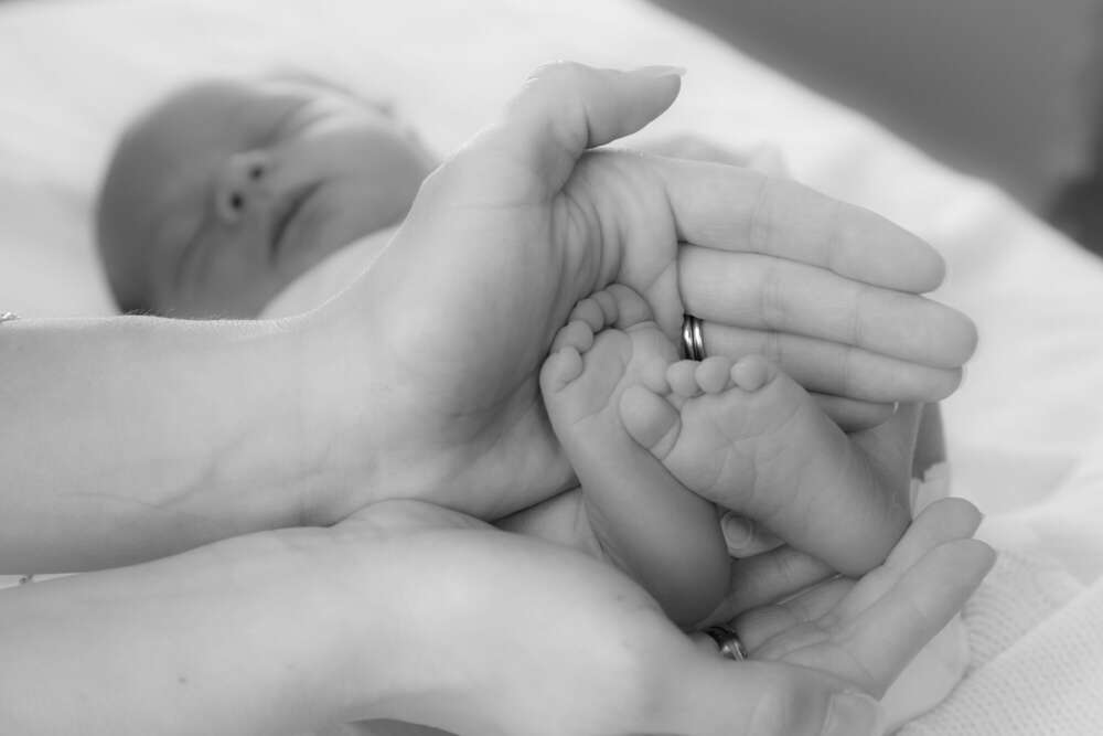 Fotostudio Krakowitzer (Fotostudio Krakowitzer)