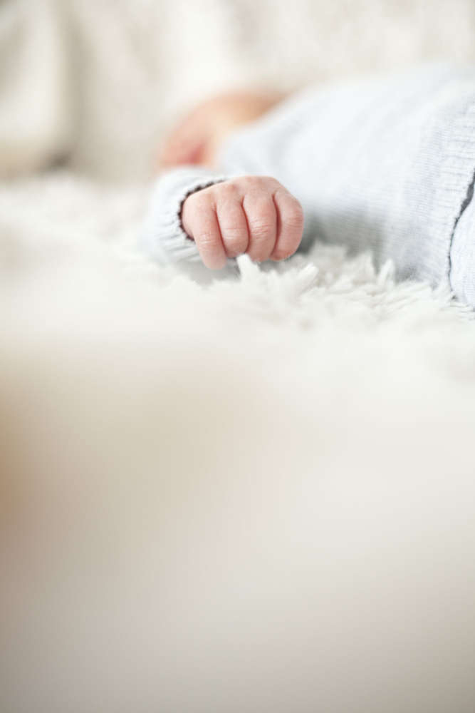 Flashpops Photographie (Flashpops Photographie)