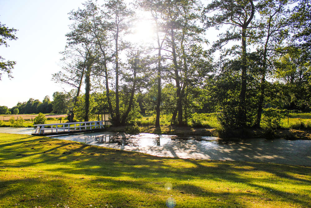 Elevation Media GmbH