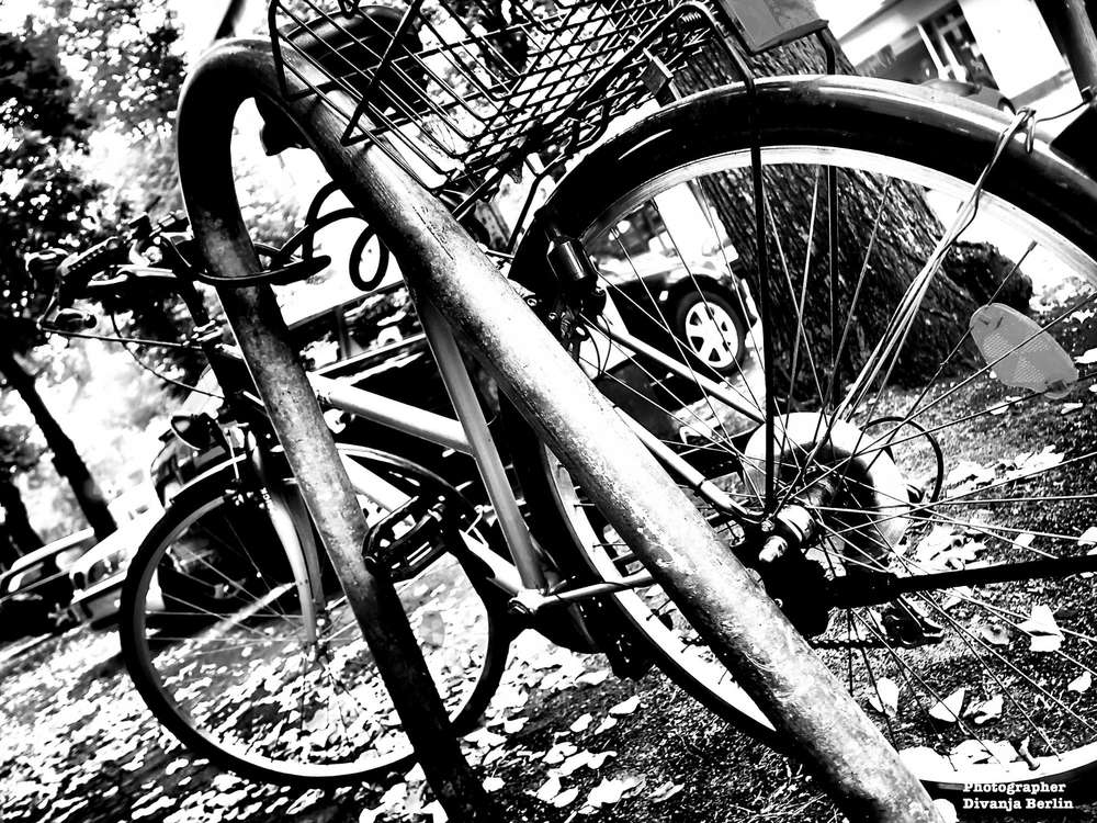 Elevation Media GmbH