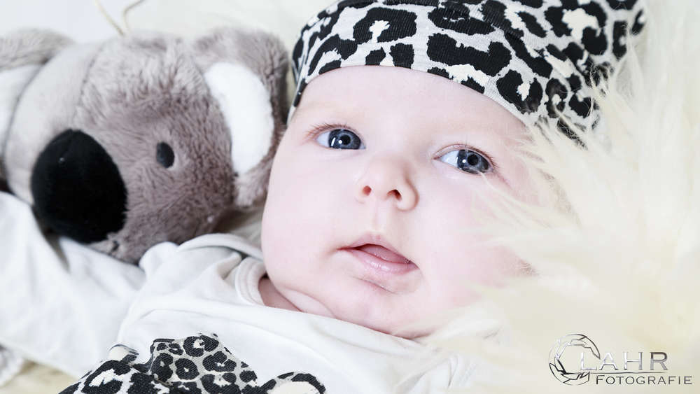 Lahr-Fotografie (Lahr-Fotografie)