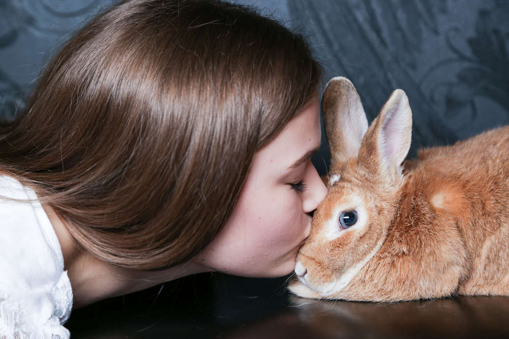 Picture People Krefeld (Picture People Krefeld)