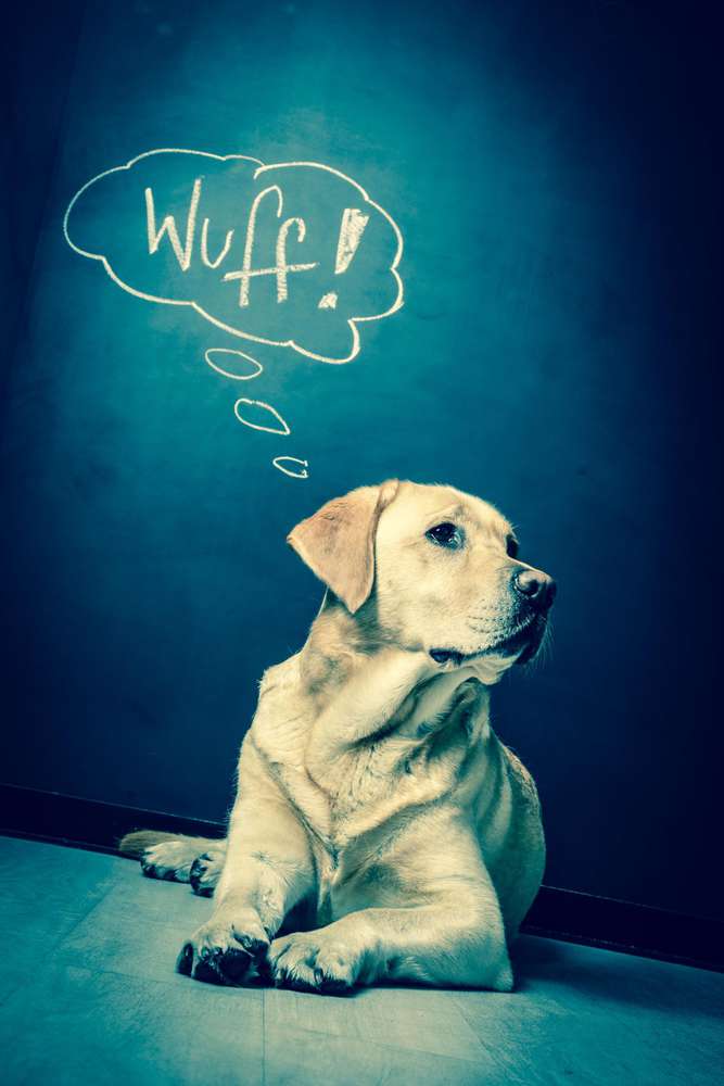 PicturePeople Fotostudios Essen